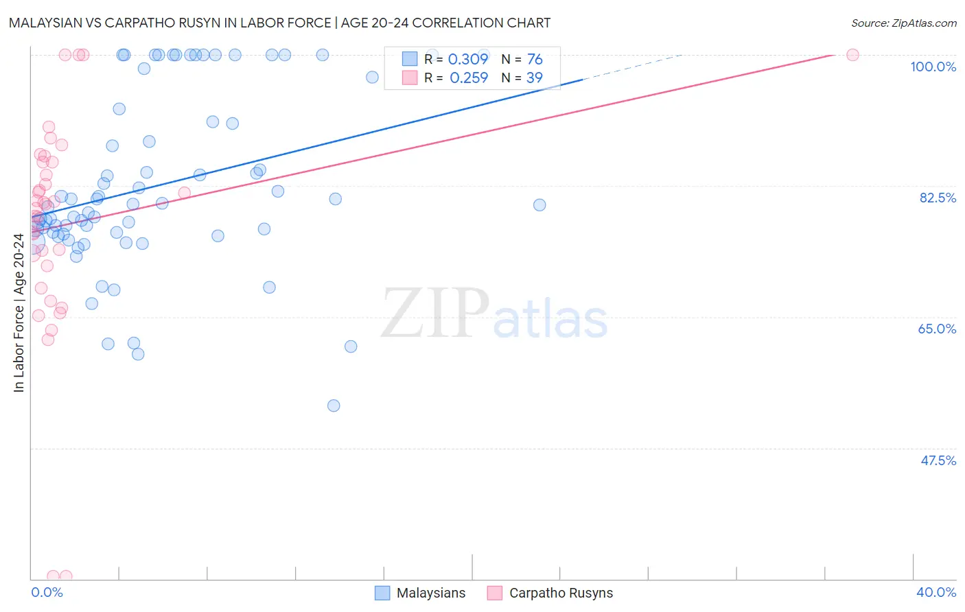 Malaysian vs Carpatho Rusyn In Labor Force | Age 20-24
