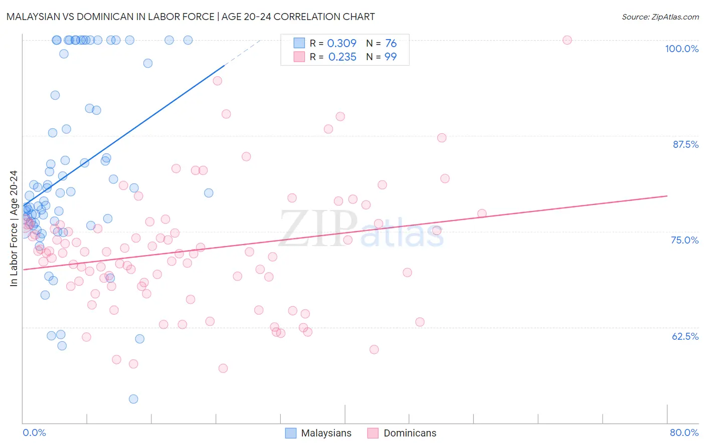 Malaysian vs Dominican In Labor Force | Age 20-24