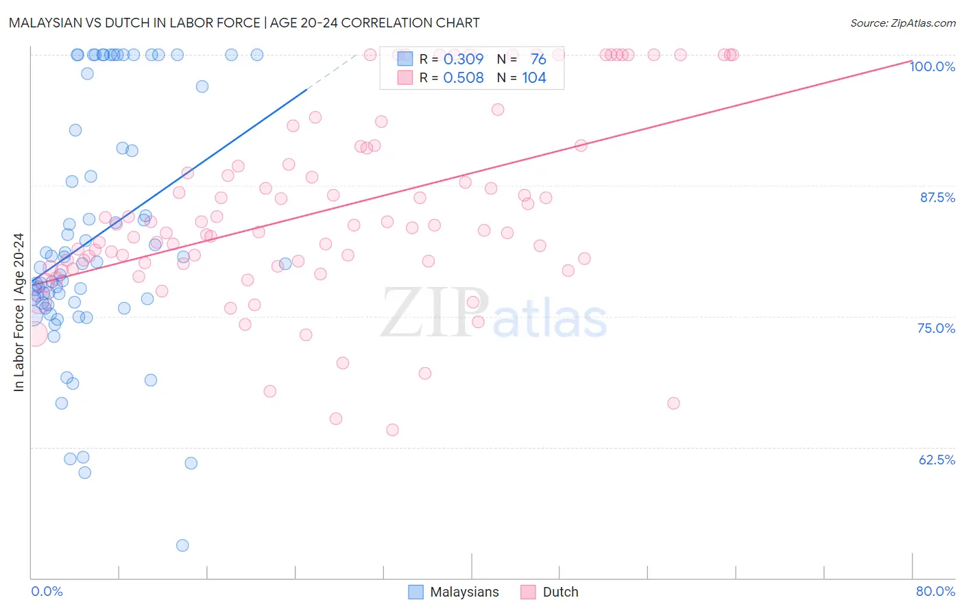 Malaysian vs Dutch In Labor Force | Age 20-24