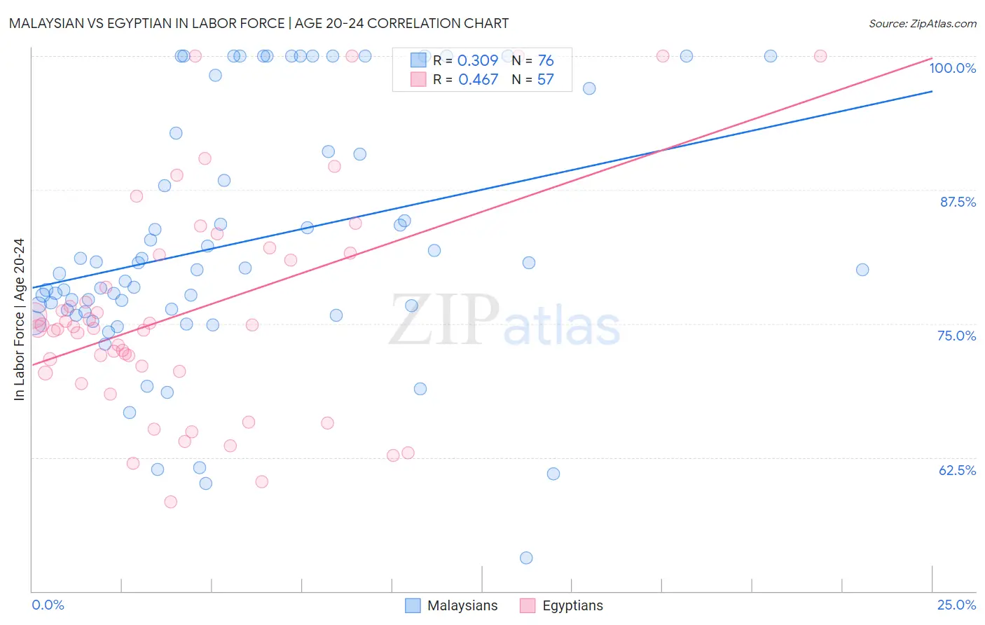 Malaysian vs Egyptian In Labor Force | Age 20-24