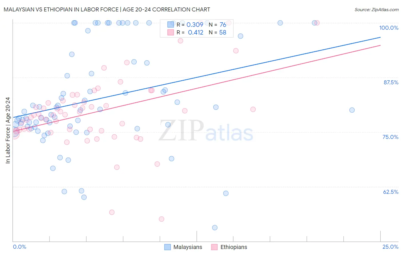Malaysian vs Ethiopian In Labor Force | Age 20-24
