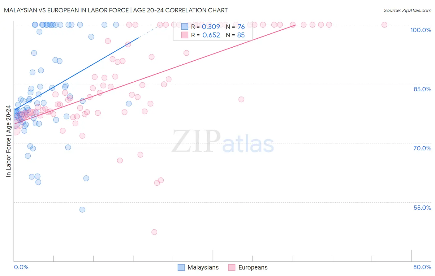 Malaysian vs European In Labor Force | Age 20-24