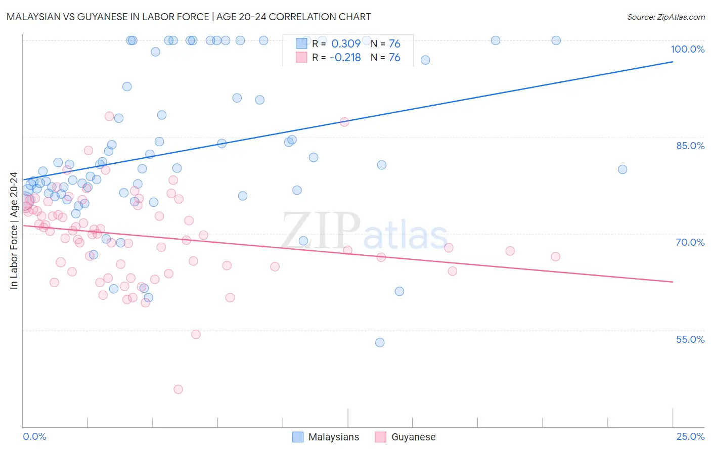 Malaysian vs Guyanese In Labor Force | Age 20-24