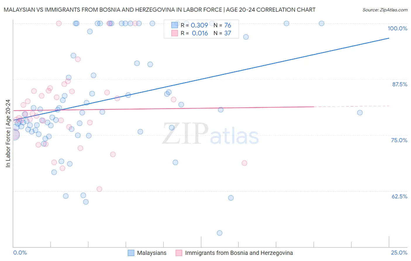 Malaysian vs Immigrants from Bosnia and Herzegovina In Labor Force | Age 20-24