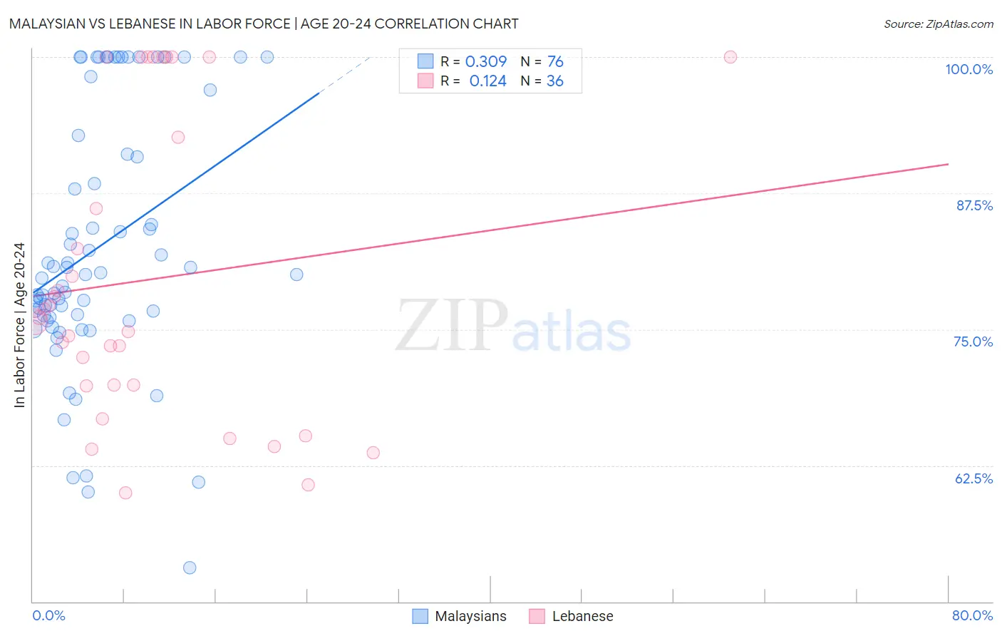 Malaysian vs Lebanese In Labor Force | Age 20-24