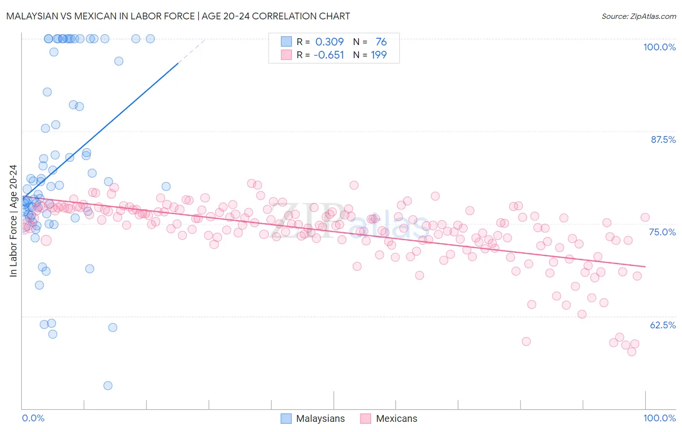 Malaysian vs Mexican In Labor Force | Age 20-24