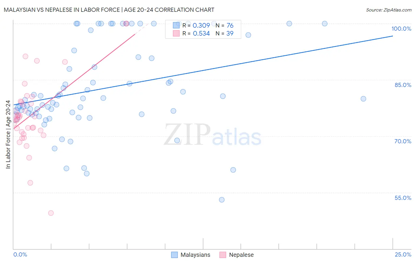 Malaysian vs Nepalese In Labor Force | Age 20-24