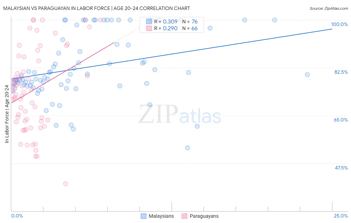 Malaysian vs Paraguayan In Labor Force | Age 20-24