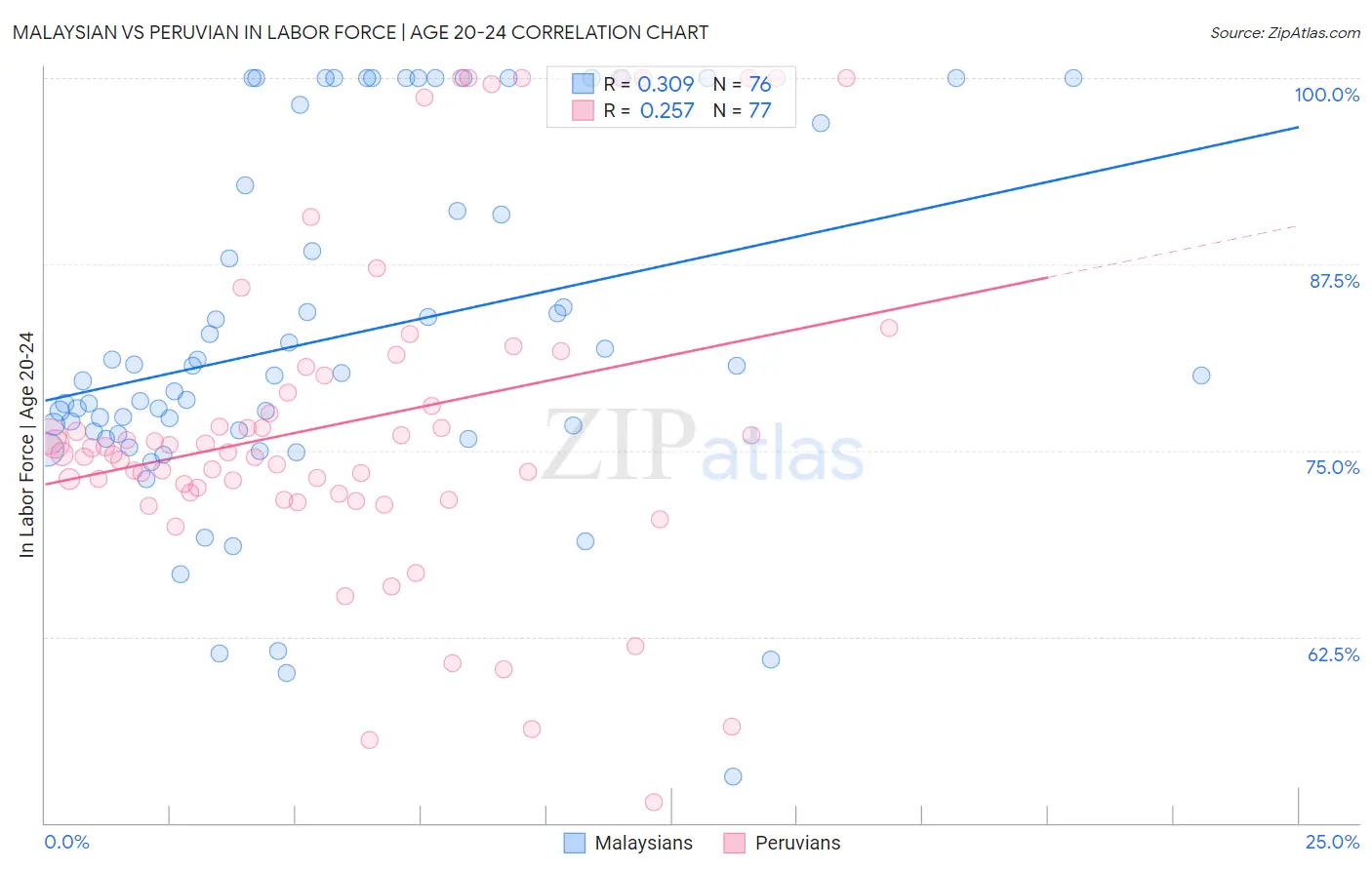 Malaysian vs Peruvian In Labor Force | Age 20-24