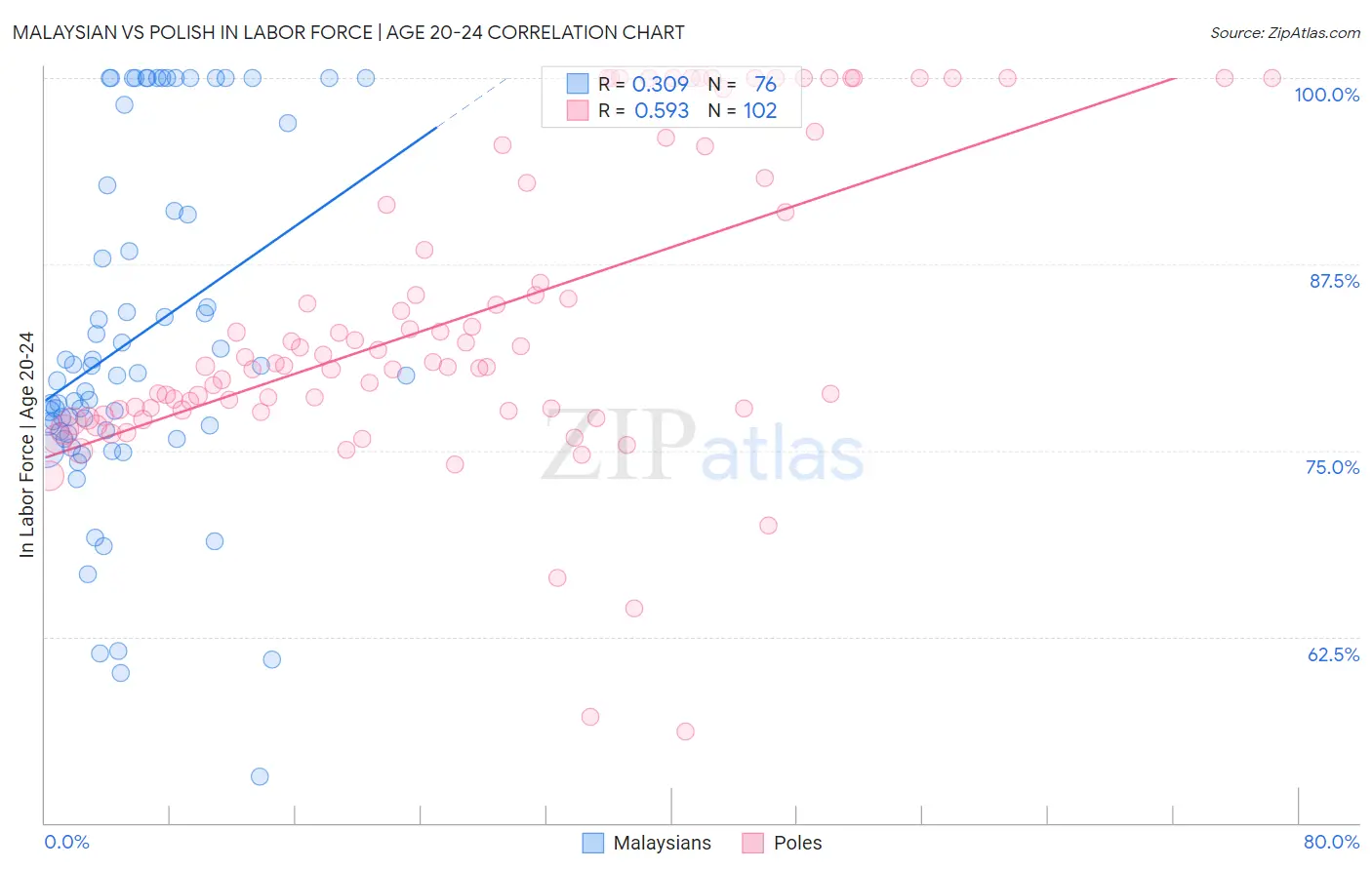 Malaysian vs Polish In Labor Force | Age 20-24