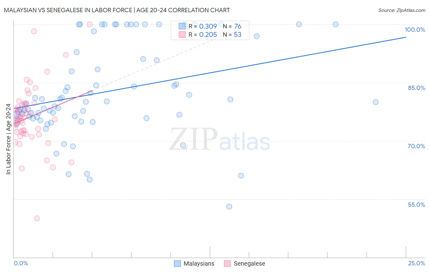 Malaysian vs Senegalese In Labor Force | Age 20-24