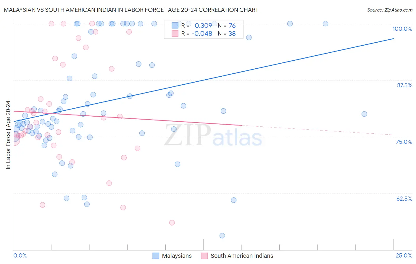 Malaysian vs South American Indian In Labor Force | Age 20-24