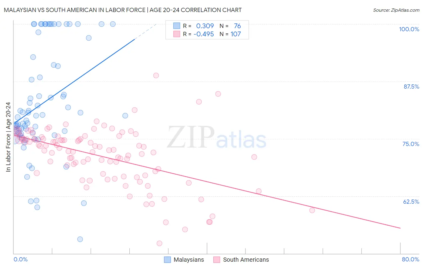 Malaysian vs South American In Labor Force | Age 20-24