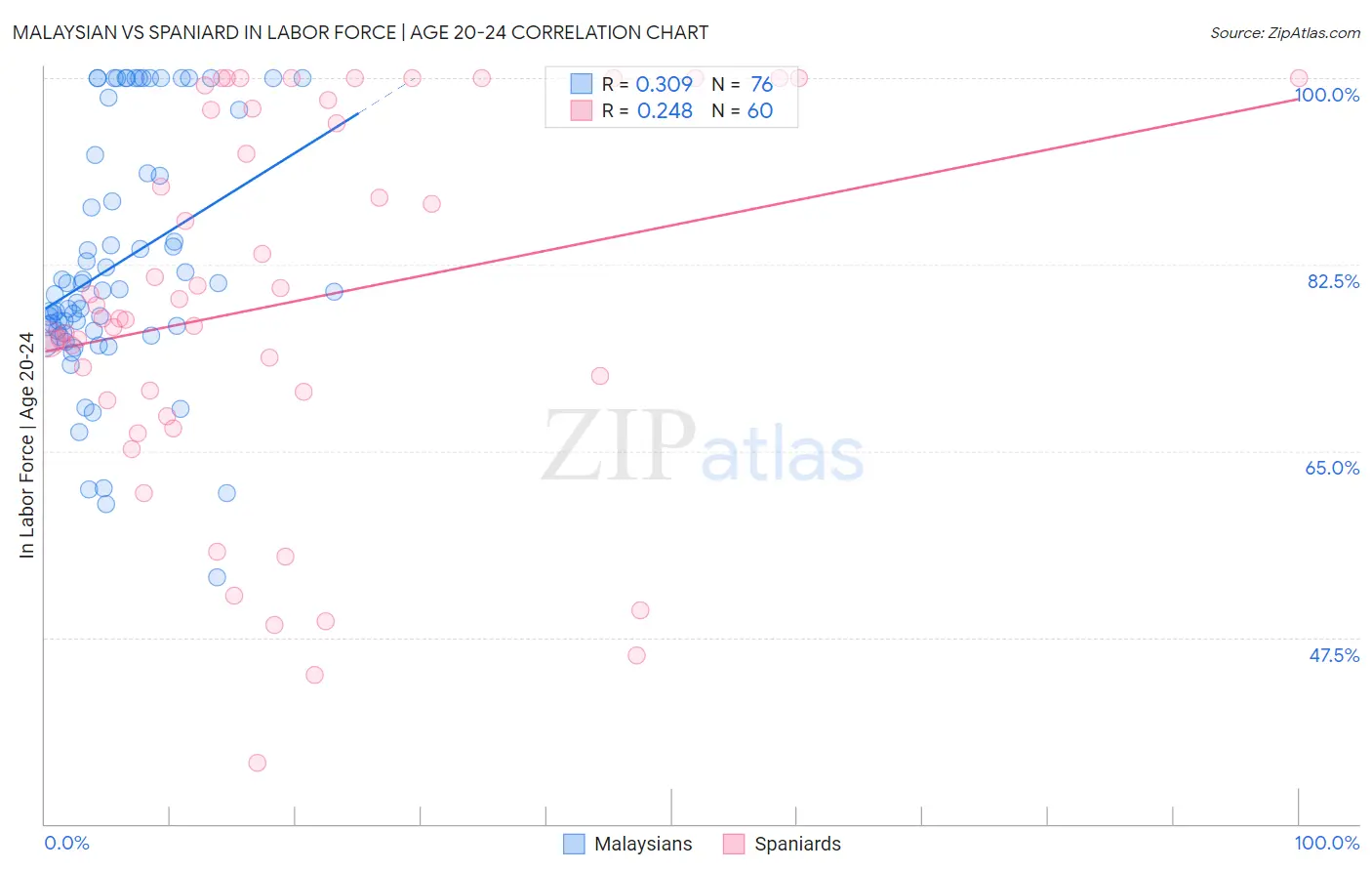 Malaysian vs Spaniard In Labor Force | Age 20-24