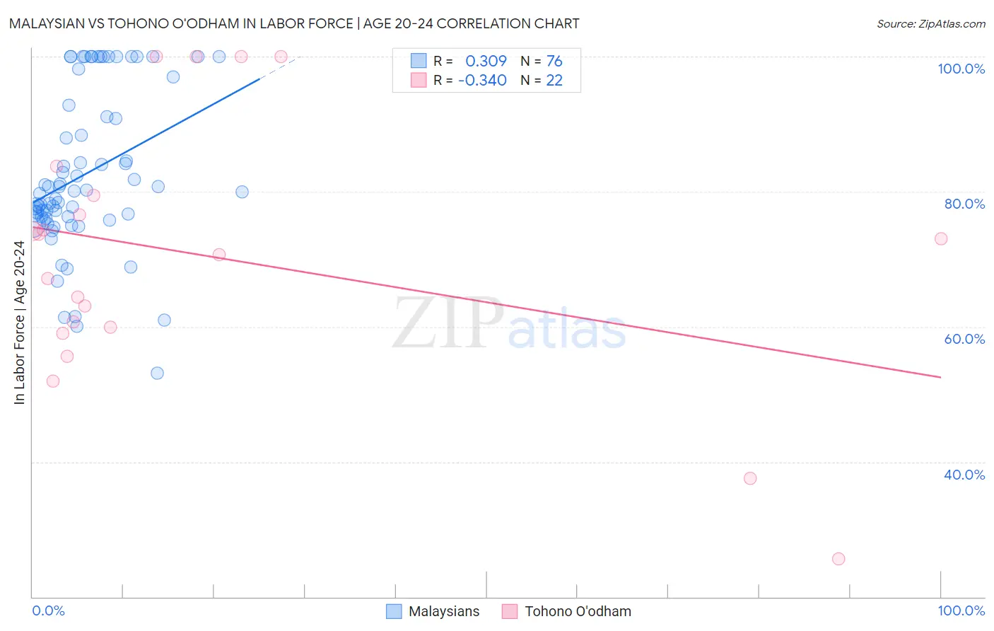 Malaysian vs Tohono O'odham In Labor Force | Age 20-24