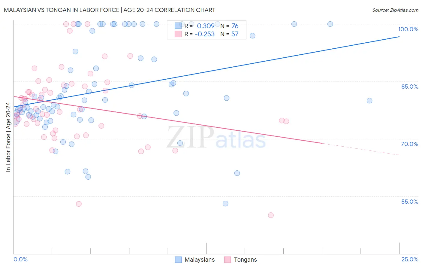 Malaysian vs Tongan In Labor Force | Age 20-24