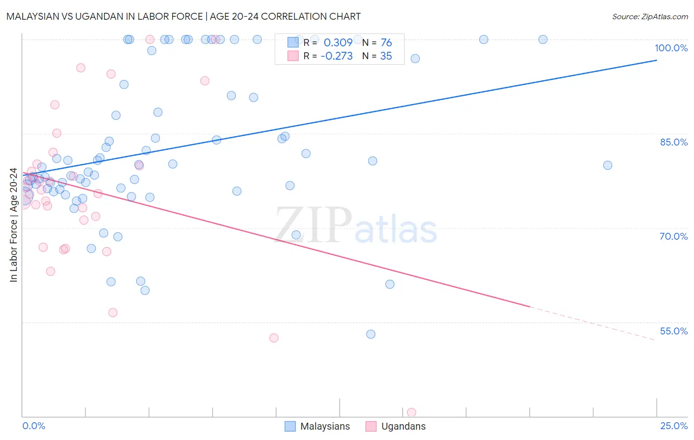 Malaysian vs Ugandan In Labor Force | Age 20-24