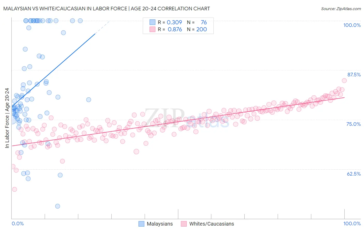 Malaysian vs White/Caucasian In Labor Force | Age 20-24