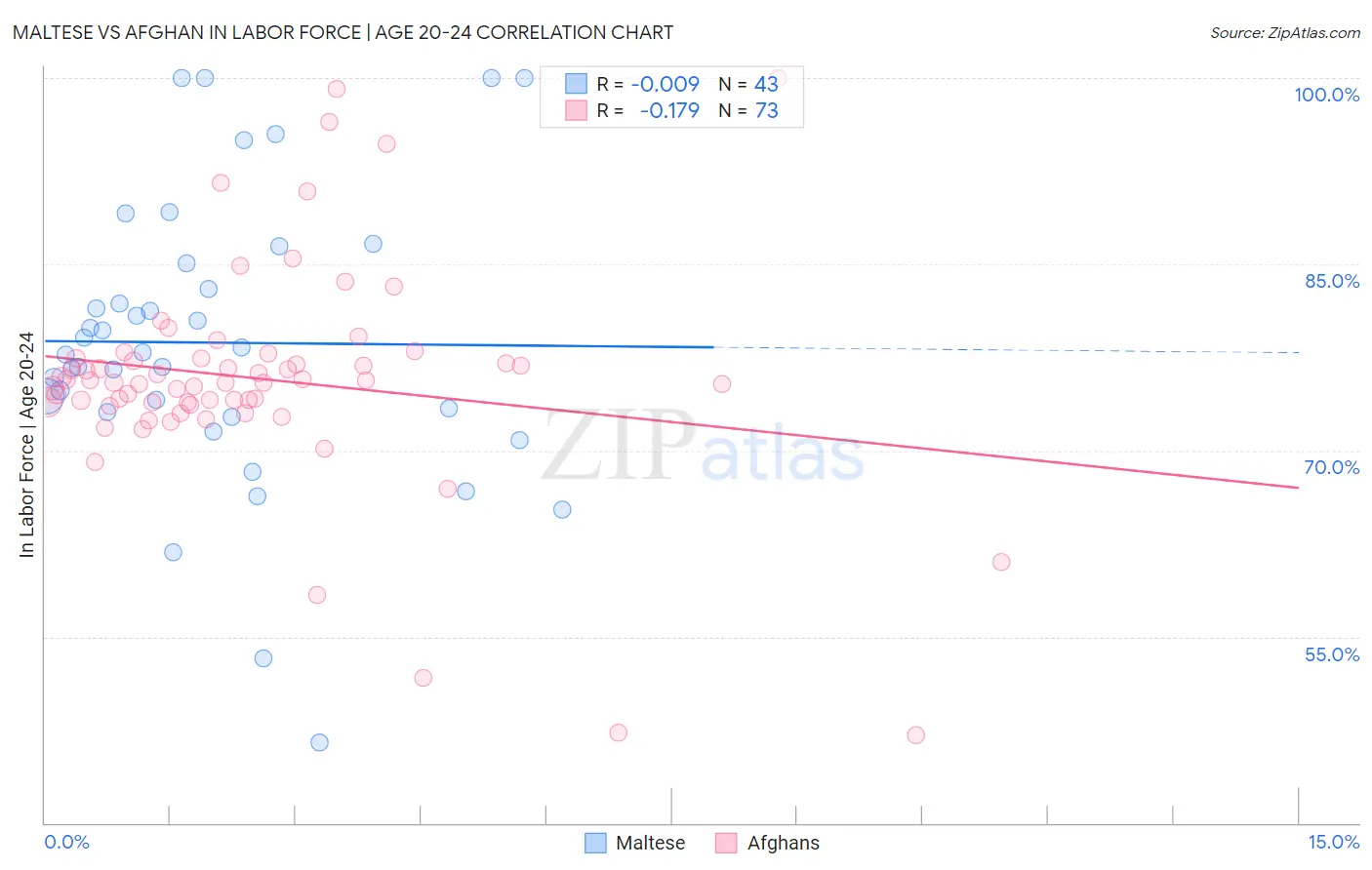 Maltese vs Afghan In Labor Force | Age 20-24