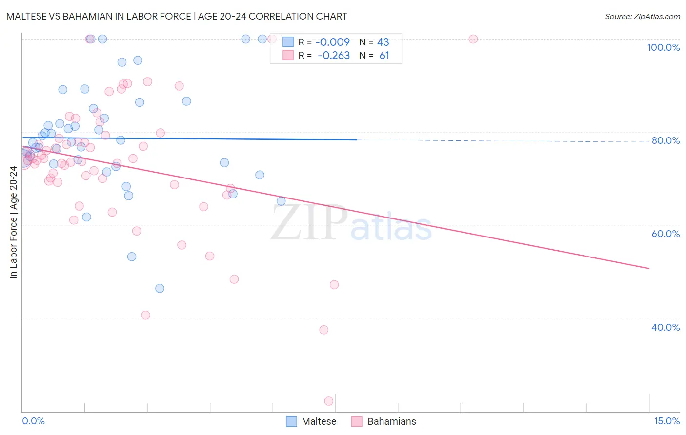 Maltese vs Bahamian In Labor Force | Age 20-24