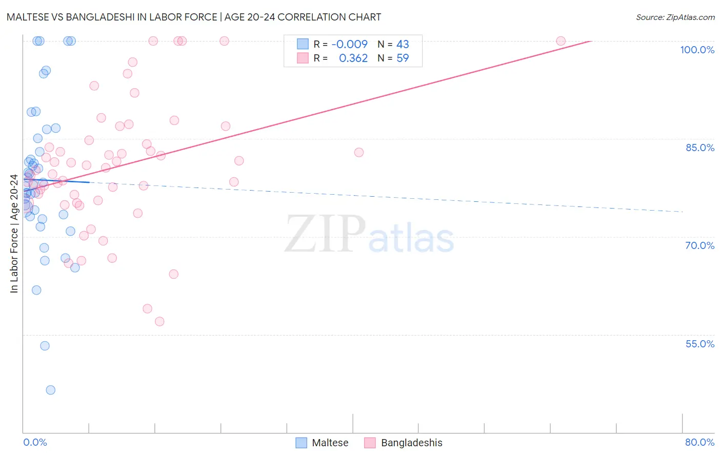 Maltese vs Bangladeshi In Labor Force | Age 20-24