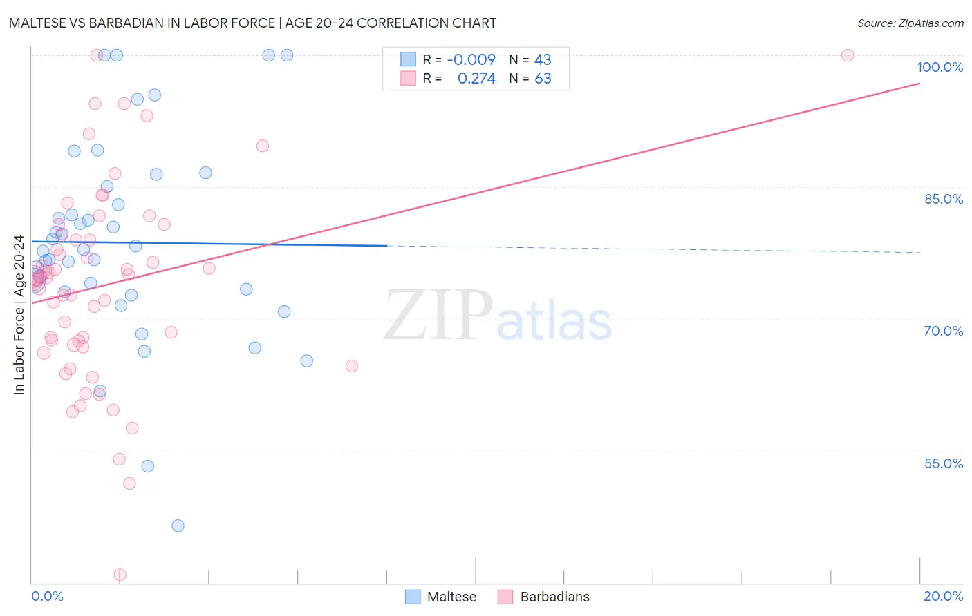 Maltese vs Barbadian In Labor Force | Age 20-24