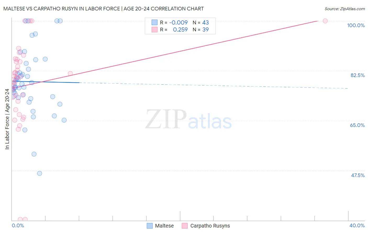 Maltese vs Carpatho Rusyn In Labor Force | Age 20-24