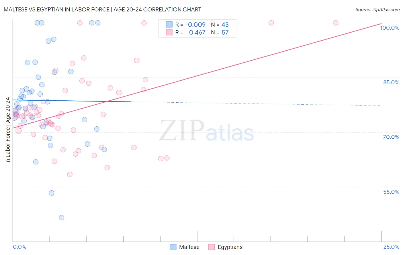 Maltese vs Egyptian In Labor Force | Age 20-24