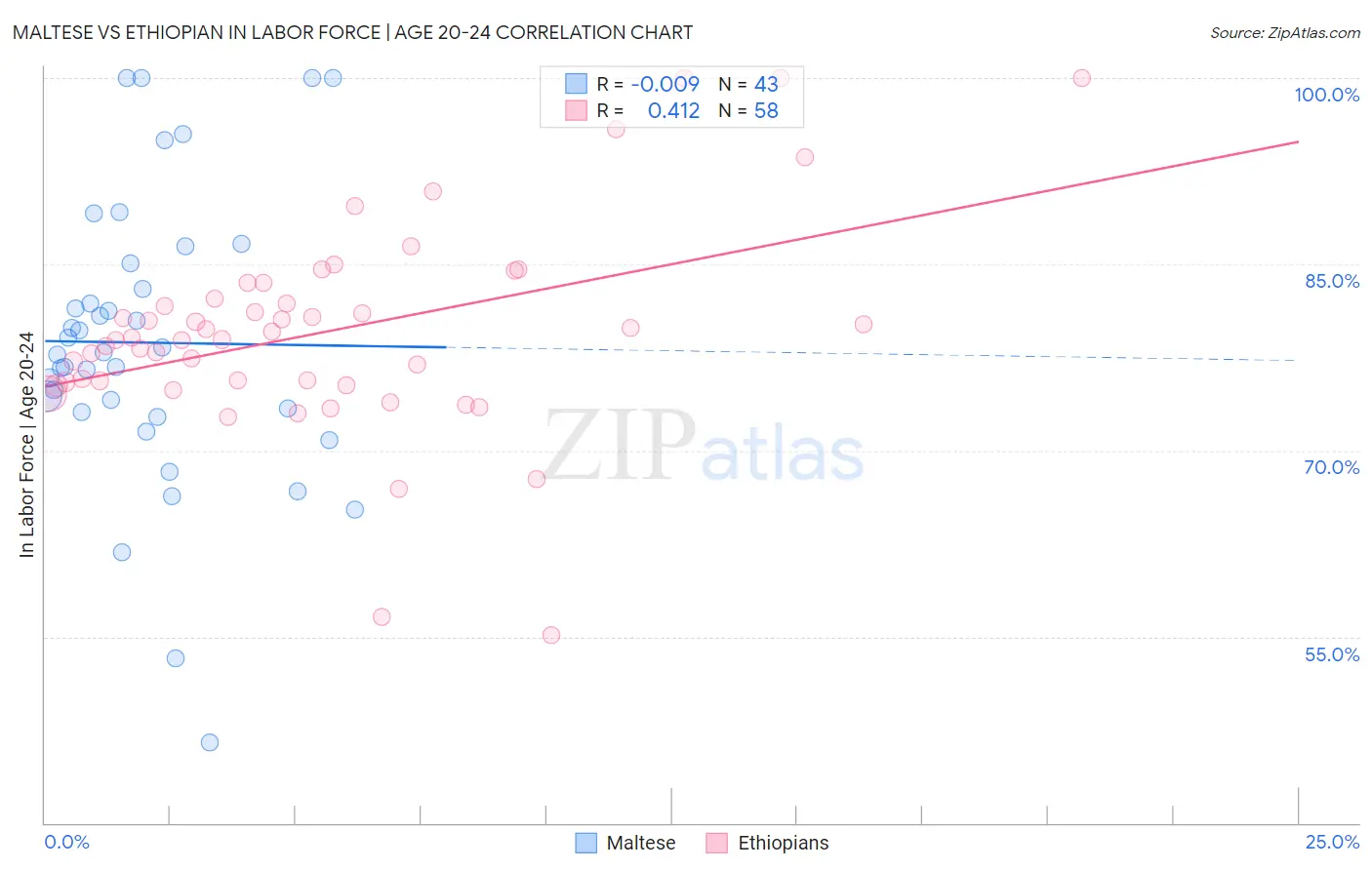 Maltese vs Ethiopian In Labor Force | Age 20-24