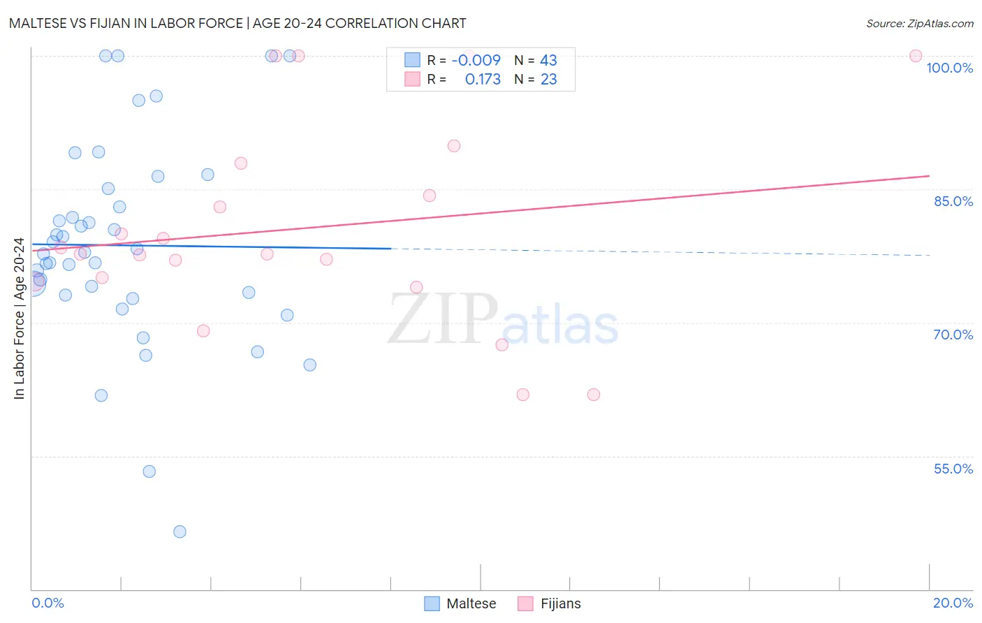 Maltese vs Fijian In Labor Force | Age 20-24