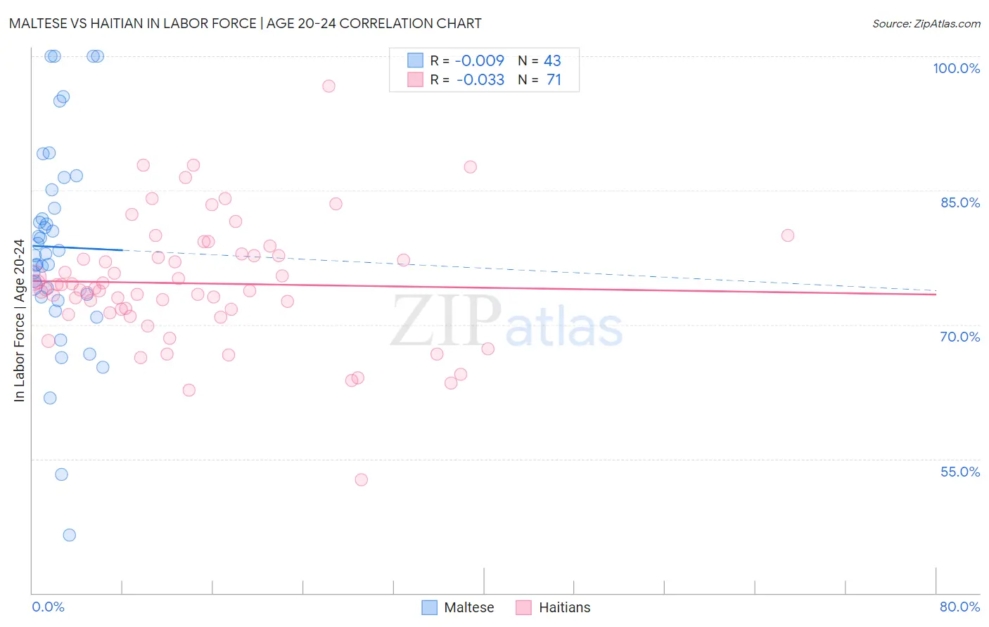 Maltese vs Haitian In Labor Force | Age 20-24