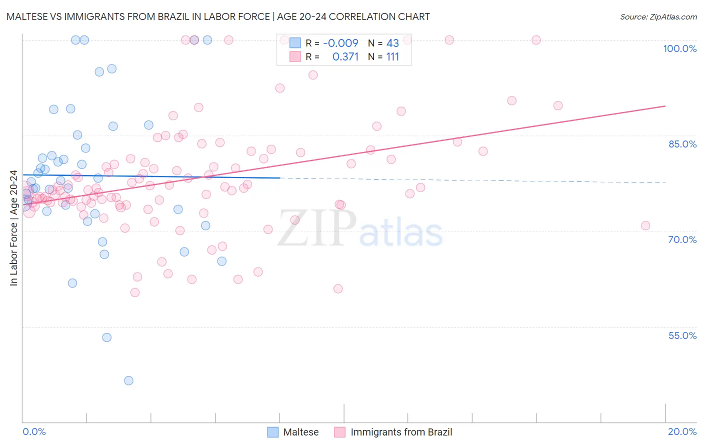 Maltese vs Immigrants from Brazil In Labor Force | Age 20-24