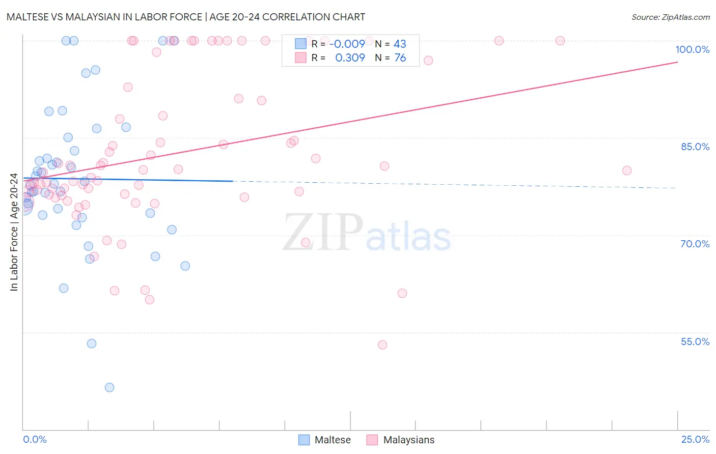 Maltese vs Malaysian In Labor Force | Age 20-24