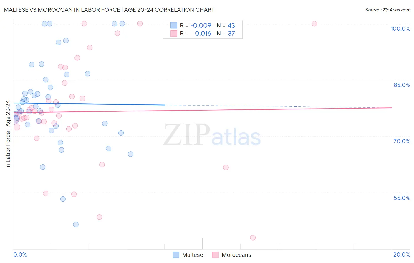 Maltese vs Moroccan In Labor Force | Age 20-24