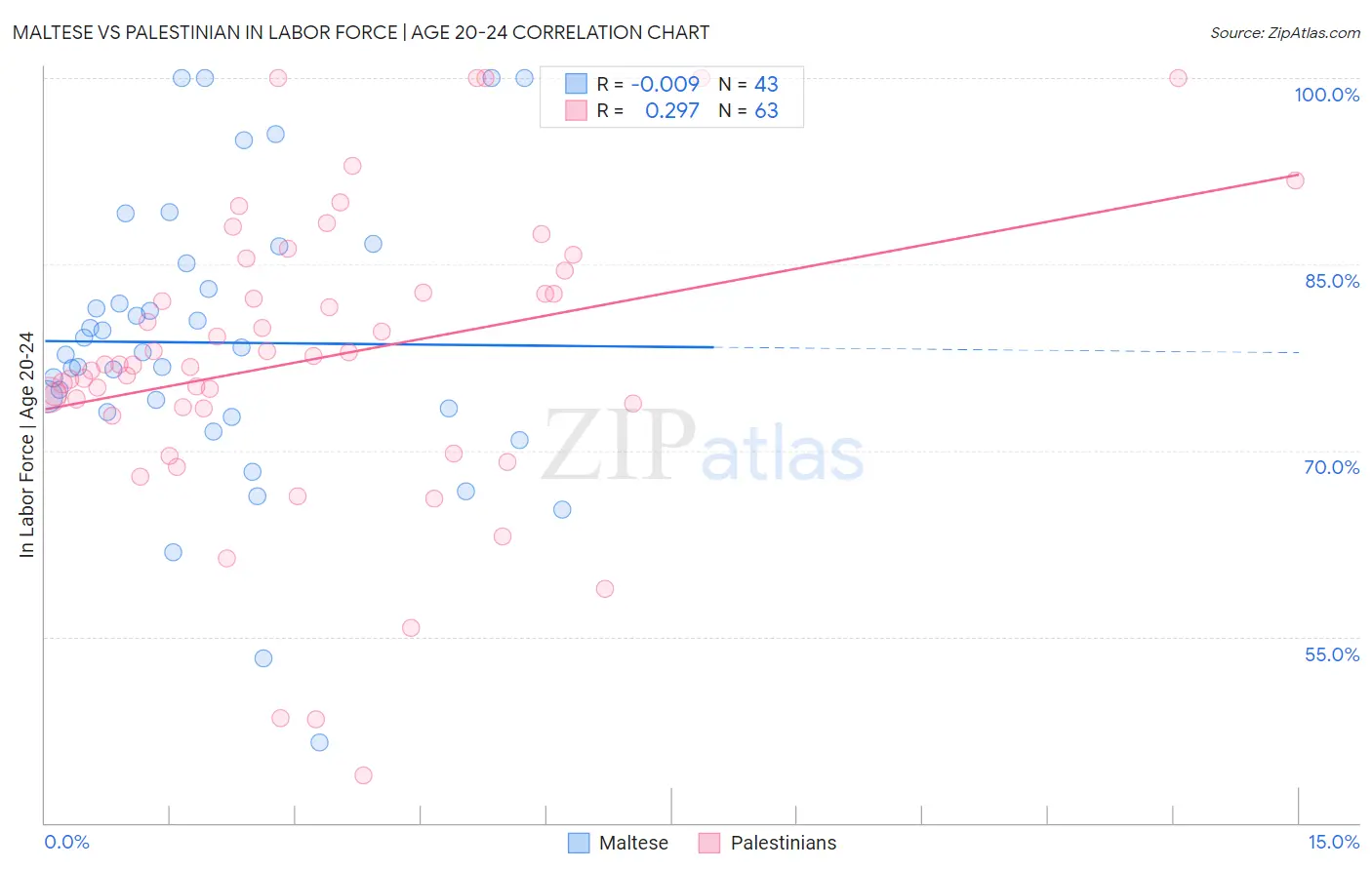 Maltese vs Palestinian In Labor Force | Age 20-24