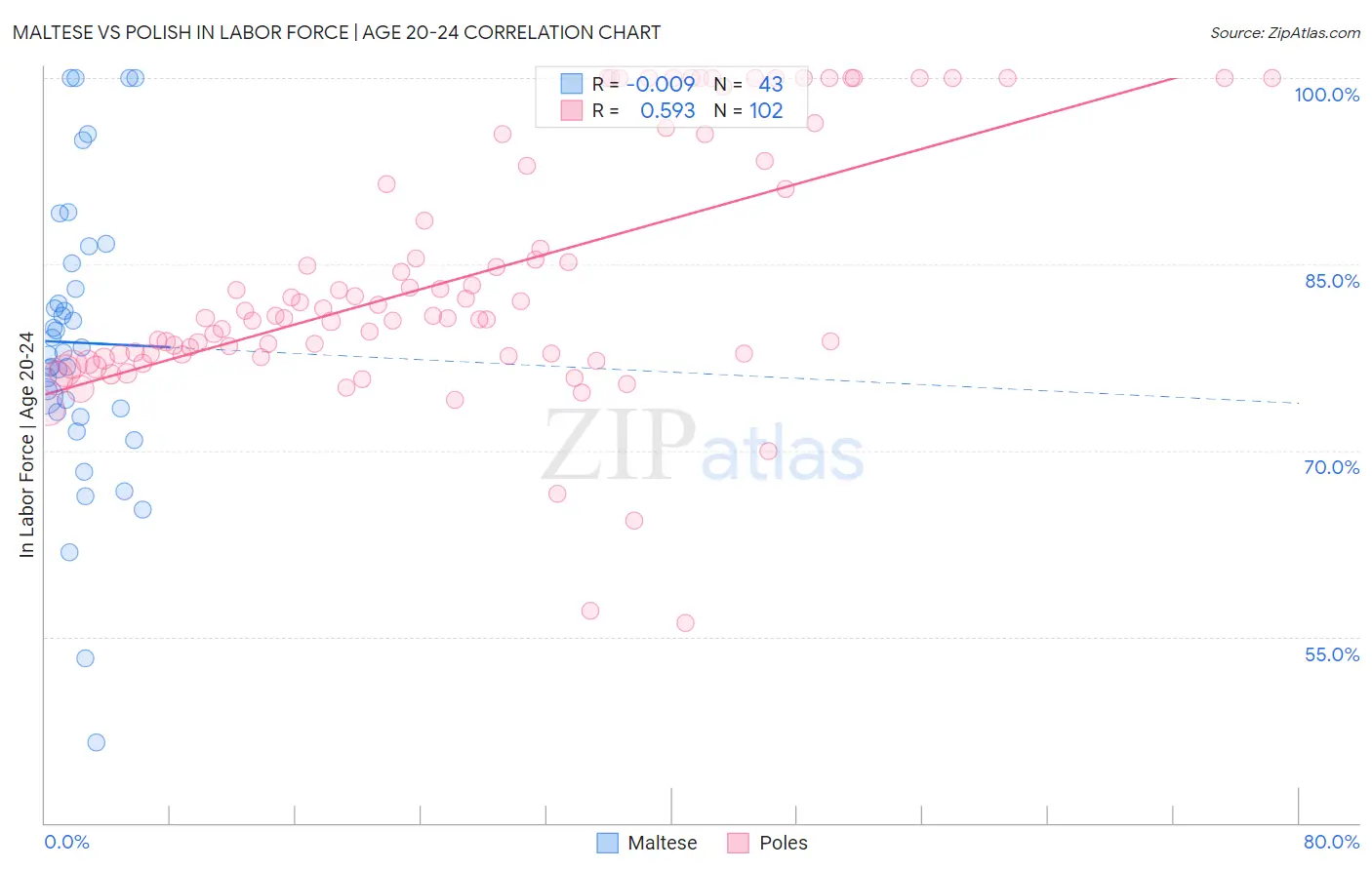 Maltese vs Polish In Labor Force | Age 20-24