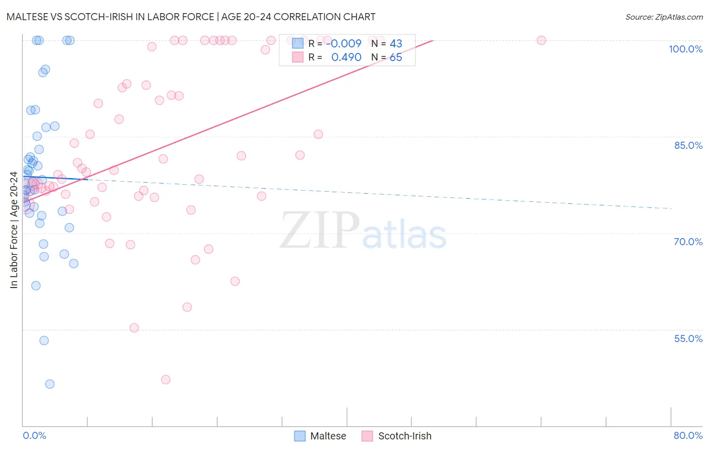 Maltese vs Scotch-Irish In Labor Force | Age 20-24