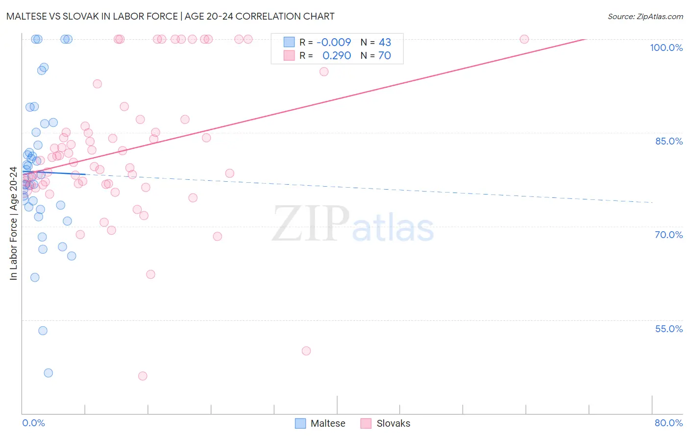 Maltese vs Slovak In Labor Force | Age 20-24