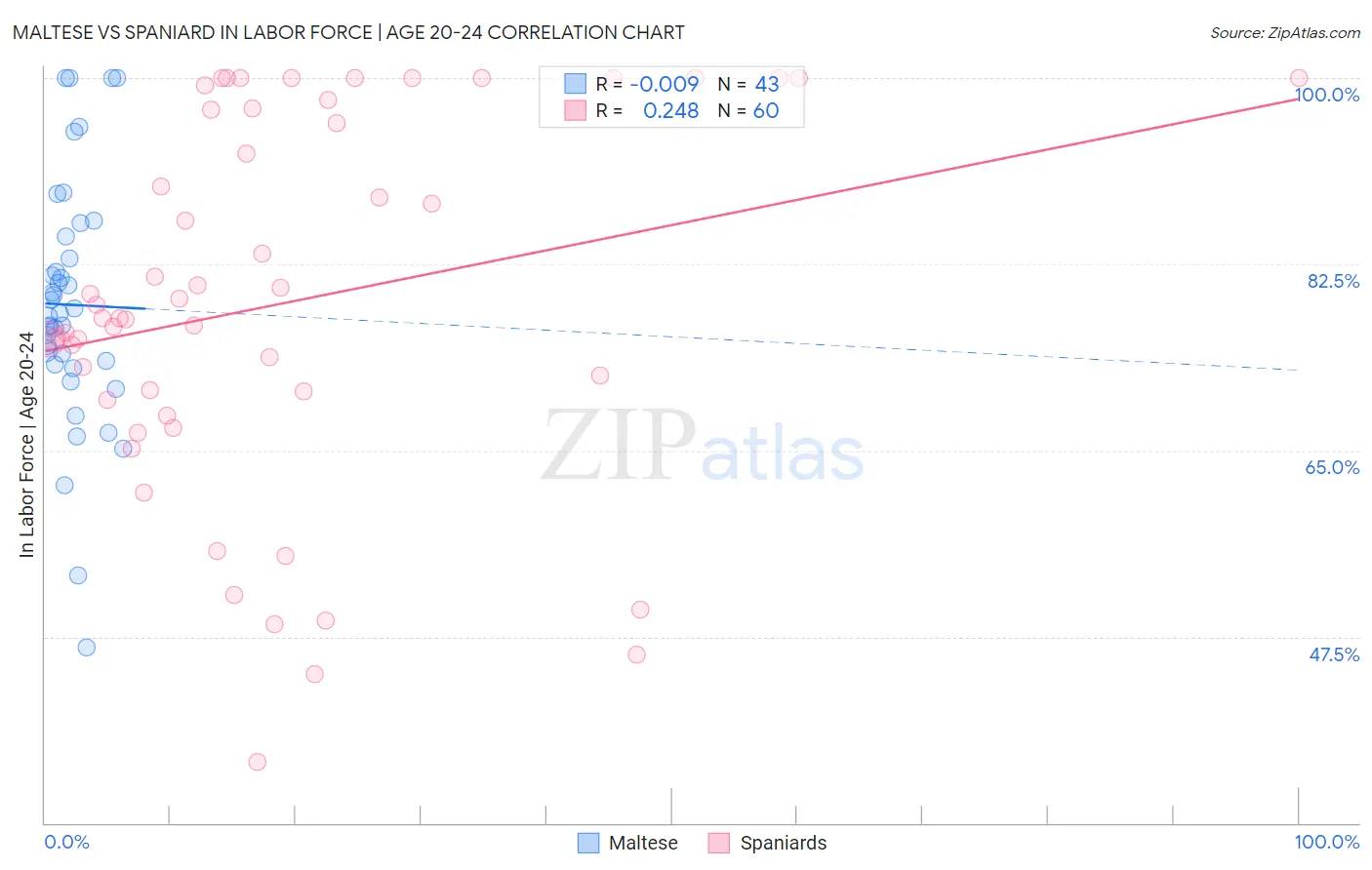 Maltese vs Spaniard In Labor Force | Age 20-24