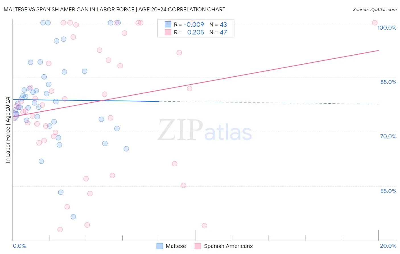 Maltese vs Spanish American In Labor Force | Age 20-24
