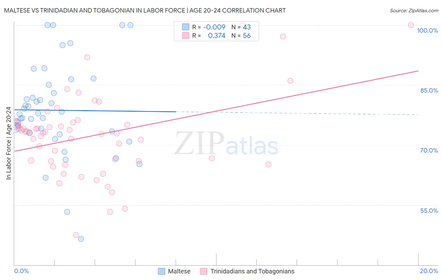 Maltese vs Trinidadian and Tobagonian In Labor Force | Age 20-24