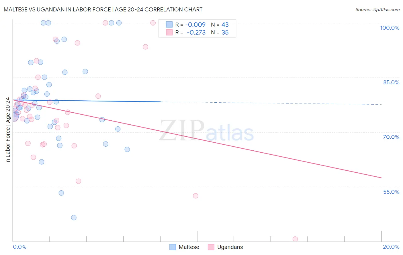 Maltese vs Ugandan In Labor Force | Age 20-24
