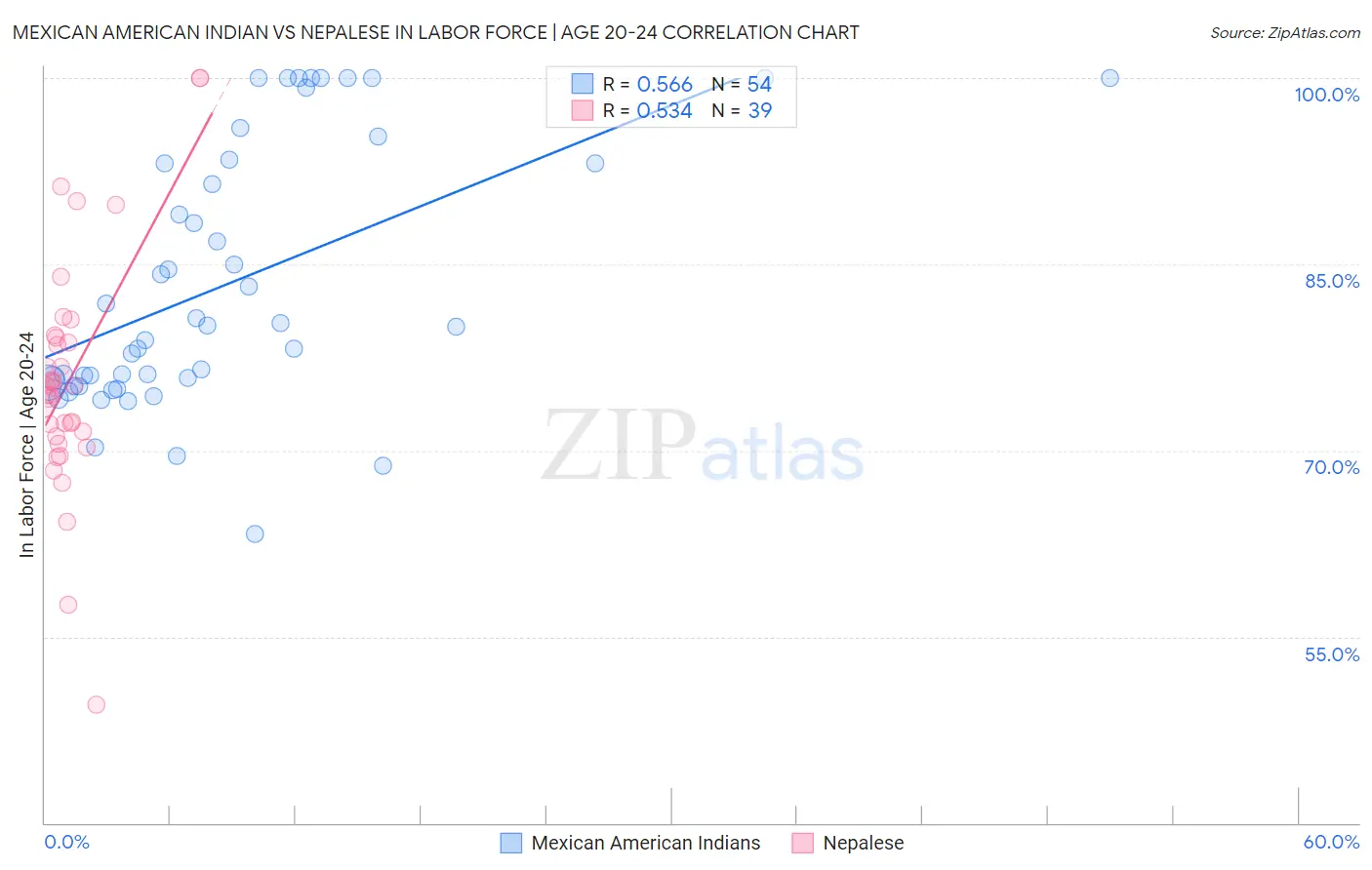 Mexican American Indian vs Nepalese In Labor Force | Age 20-24