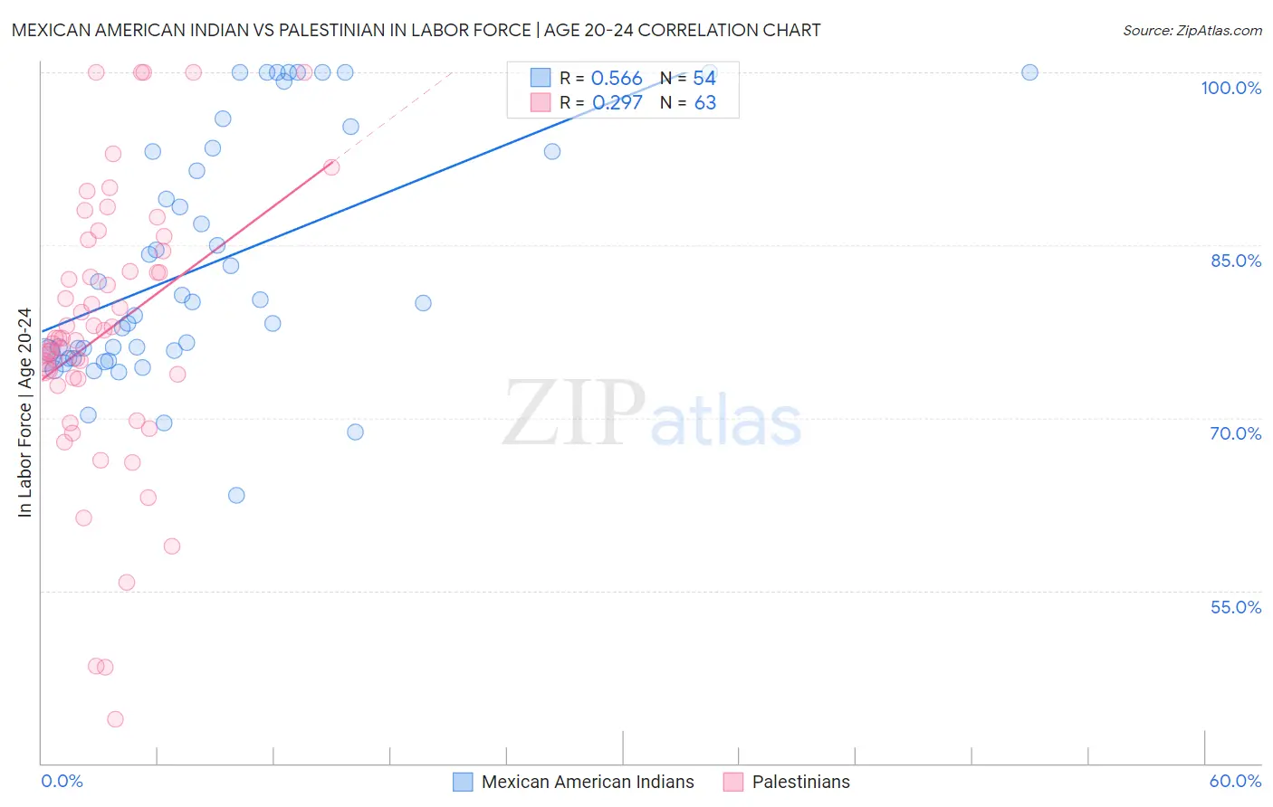 Mexican American Indian vs Palestinian In Labor Force | Age 20-24