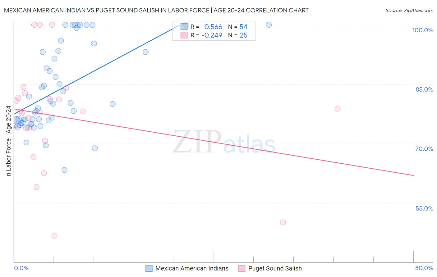 Mexican American Indian vs Puget Sound Salish In Labor Force | Age 20-24
