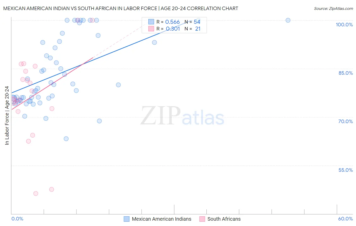 Mexican American Indian vs South African In Labor Force | Age 20-24