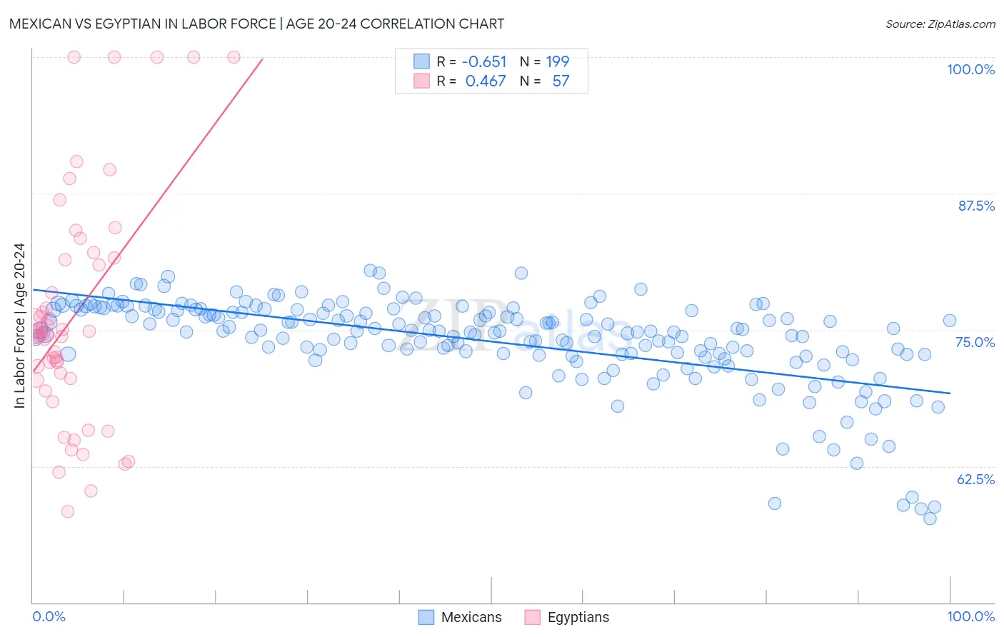 Mexican vs Egyptian In Labor Force | Age 20-24