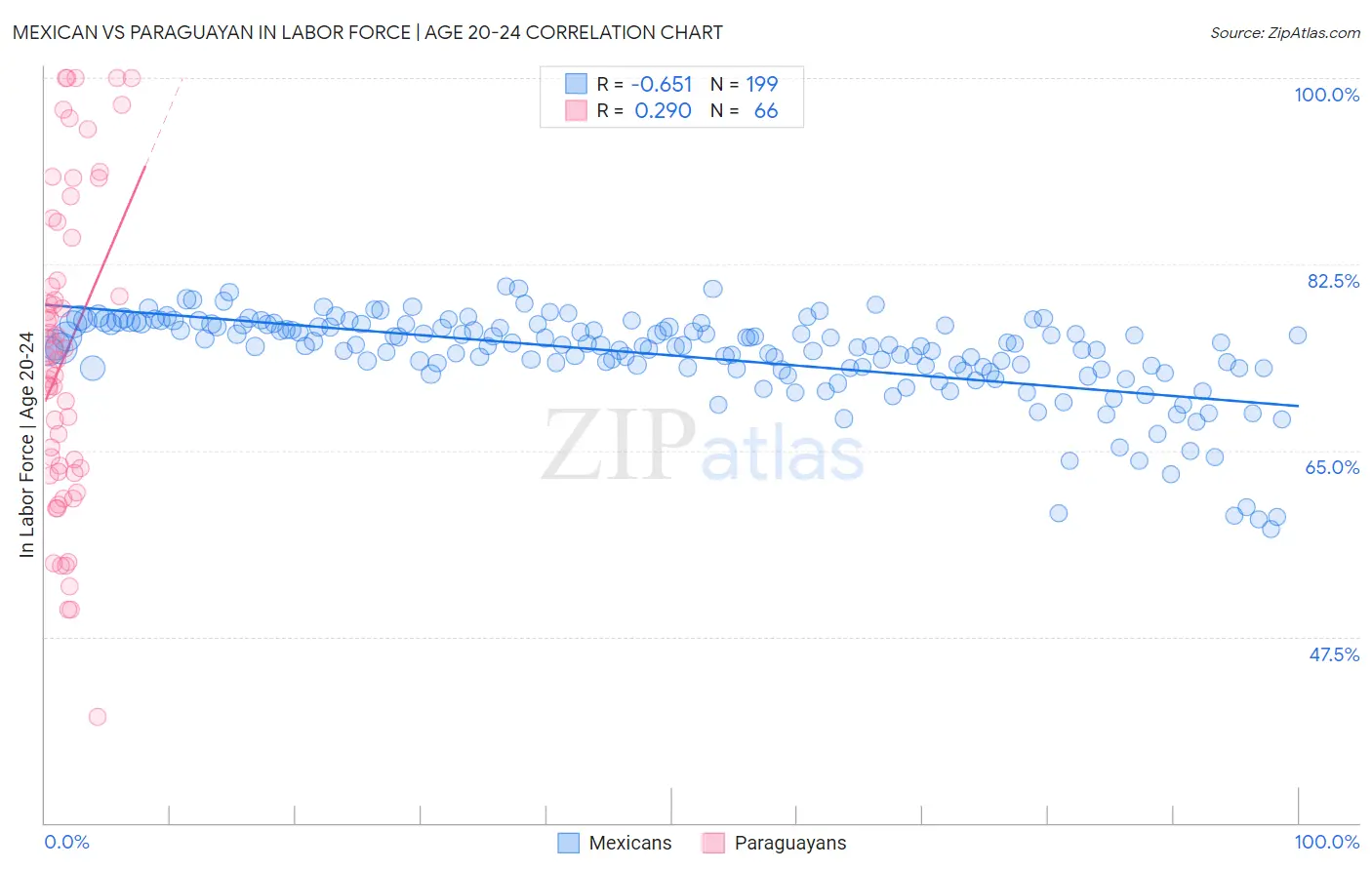 Mexican vs Paraguayan In Labor Force | Age 20-24