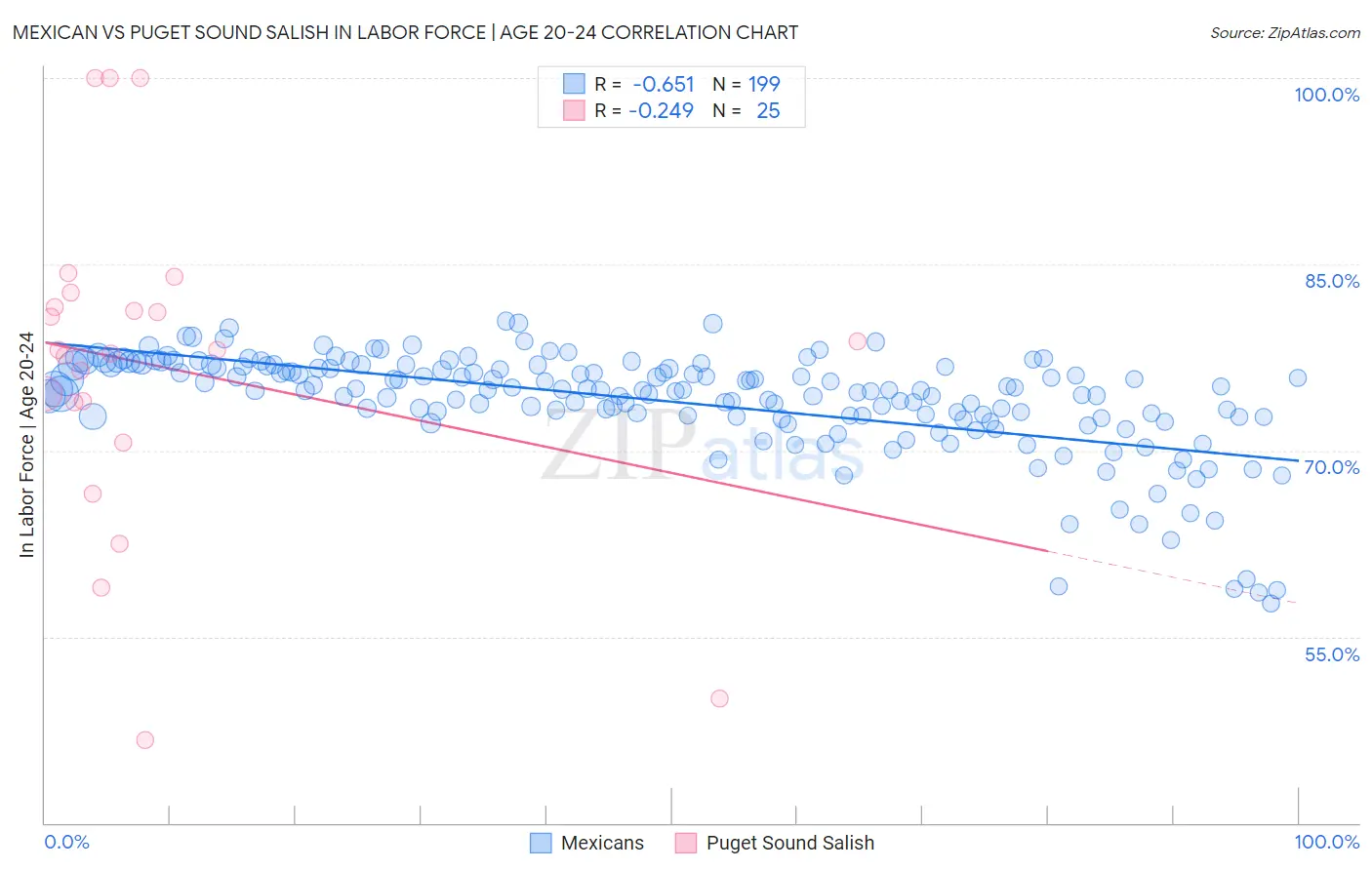 Mexican vs Puget Sound Salish In Labor Force | Age 20-24