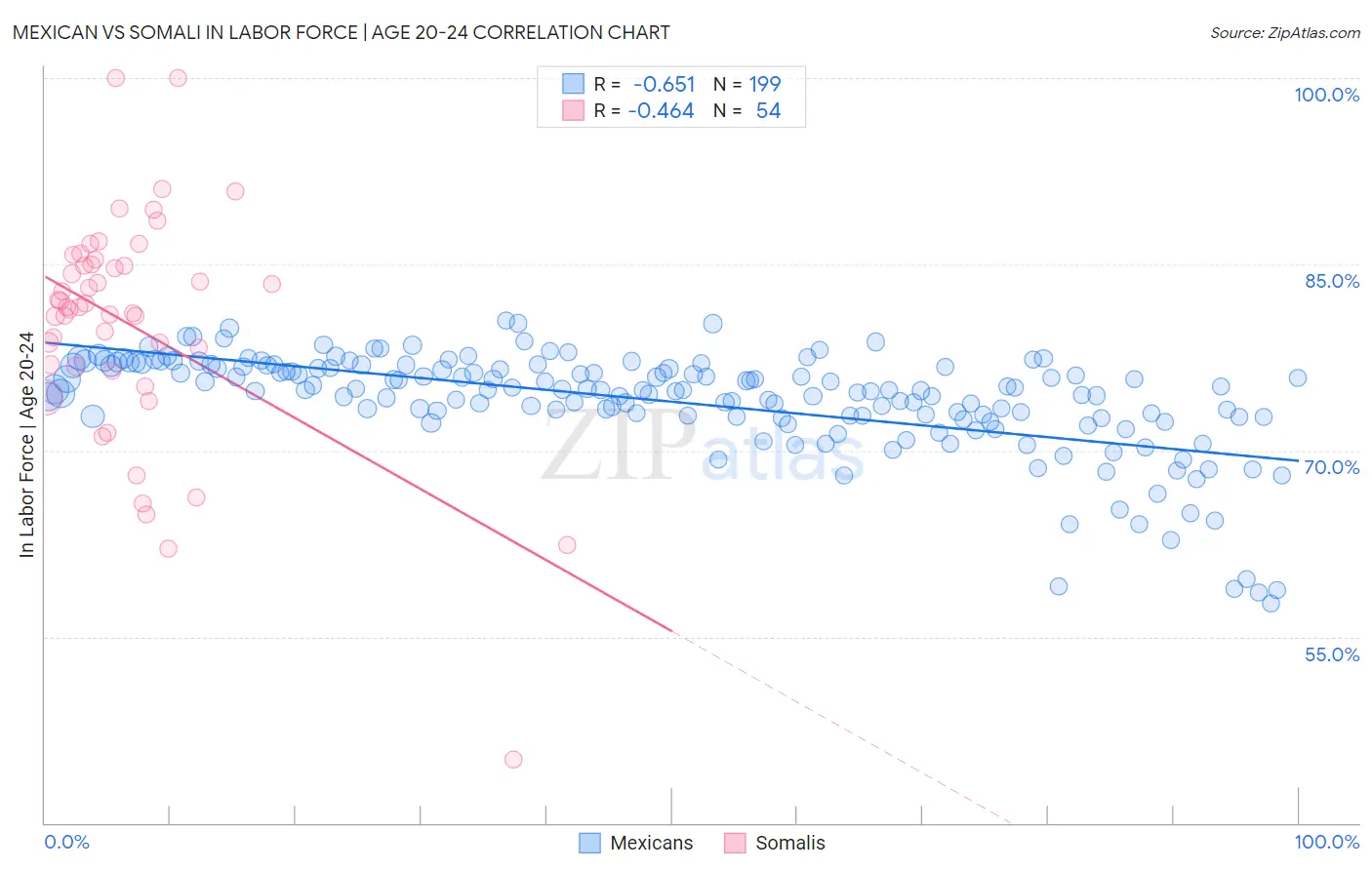 Mexican vs Somali In Labor Force | Age 20-24